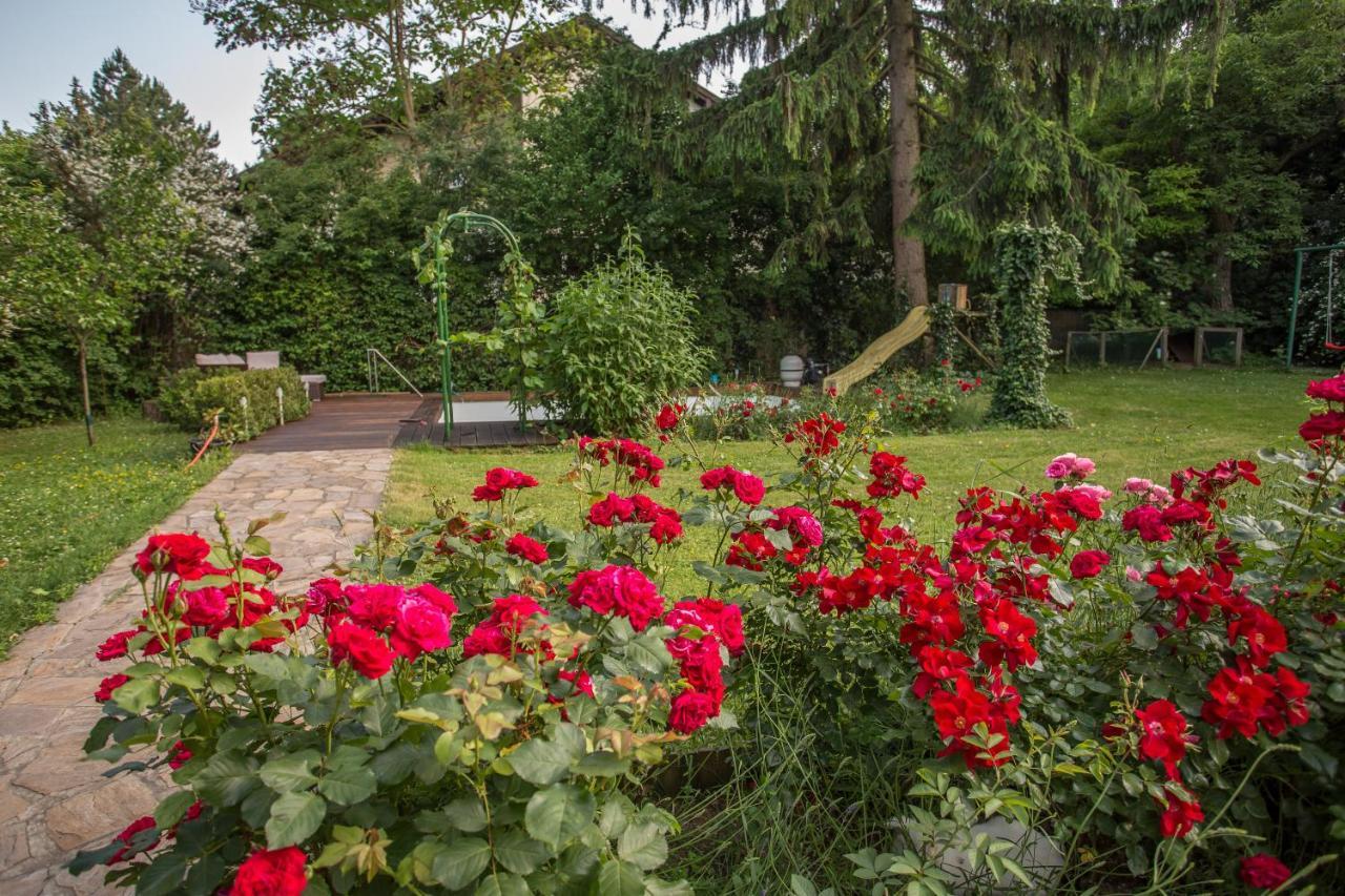 Huebsches Privatzimmer Mit Bad Perchtoldsdorf Extérieur photo